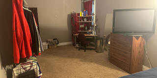 Charming 2BR Duplex in Buffalo directly on Elmwood Gallery 13