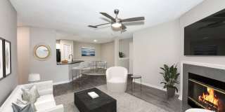 Paradise Island Gallery 12