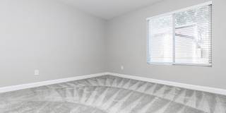 Avery at TownCentre Gallery 42