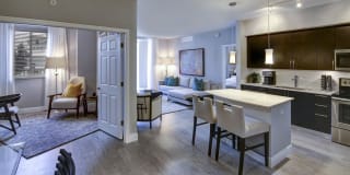 Sofia Coral Gables Gallery 23