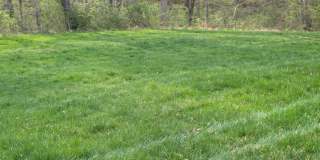 1700 PRELUDE Drive Gallery 17