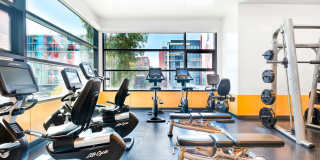 Arrive Hollywood Arrive Hollywood Gallery 29