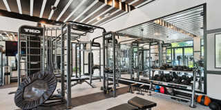 Thrive at University City Gallery 5