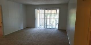 Forest Ridge Gallery 109