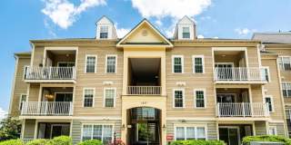 1037 GARDENVIEW Loop unit: 302 Gallery 1