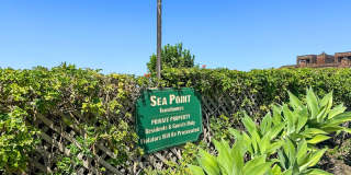 Luxurious Coastal Living: Fully Remodeled 3-Bed, 3.5-Bath with Ocean Views in Sea Point Gallery 44