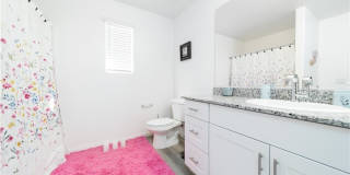 2849 Desert Mosaic Lane Gallery 15
