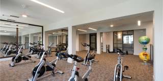 Aspire Presidio West Gallery 117