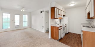 Bennington Ridge Gallery 50