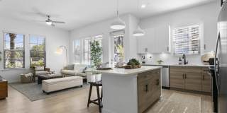 Arabelle Clearwater Gallery 43