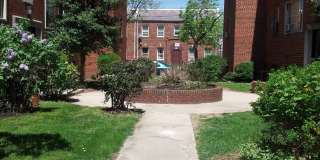 Historic Anacostia | 2bd 1bth| Hardwood Floors | Large Approx 800 sqft| Heat, Water, Electric Incl. Gallery 1