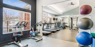 Christina Mill Gallery 15