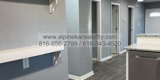817 White Avenue Gallery 12