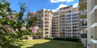 Barton House Gallery 8