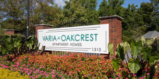 Varia at Oakcrest Gallery 15