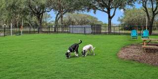 Villas at Gateway Gallery 13