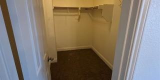 3101 Spanish Oak Trail Gallery 7