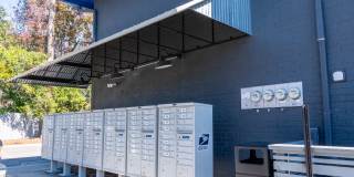 Mandarin Bay Gallery 37