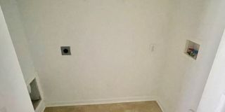RoyalCeladon6454 Gallery 20