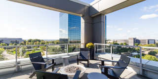 The Fenley Gallery 50