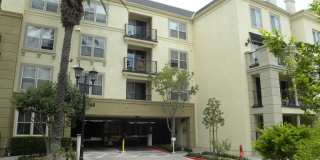 Watermarke Condo 1bed 1 bath Watermarke Condo 1bed 1 bath Gallery 1