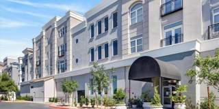 2220 Village Walk Drive Gallery 2