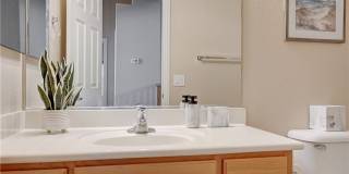 10145 MALIBU CREEK Court Gallery 42