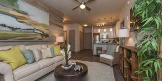 Mariner Grove Gallery 20