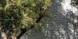 1550 NE 33 AV Gallery 38