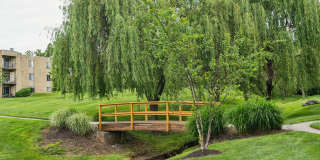 Brookstone Gallery 12