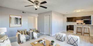 Rise Skyview Gallery 67