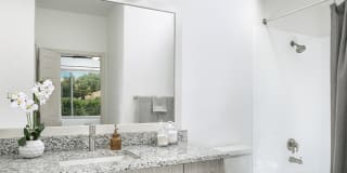 San Carlos Apartments Scottsdale Gallery 7