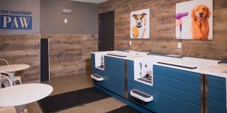 Silver Collection at The Park Gallery 11