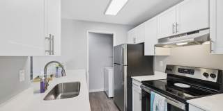 Avana Chestnut Hill Gallery 15