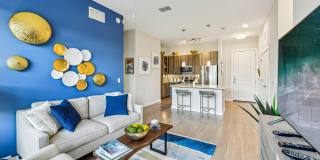 Overture Dr. Phillips Age 55+ Apartment Homes Gallery 5