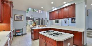Expansive Clearwater Luxury | 6BR Pool Home w/ Solar, Outdoor Kitchen & 3+ Car Garage Gallery 14