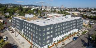 The Frankie Gallery 38