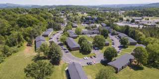 Allandale Falls Gallery 9