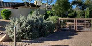 Beautiful 5 bed/4 bath + Den in Desirable Paradise Valley Gallery 4