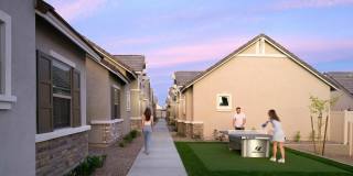 Canopy at Sundance Gallery 7