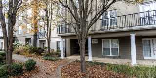 710 Walker Square- 3B Gallery 1