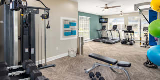 Preston Grove Gallery 8