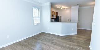 Richland Falls Gallery 39