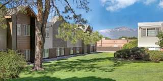 Austin Park Gallery 26