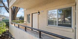 Avery at TownCentre Gallery 48