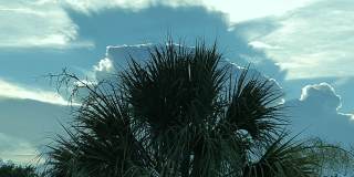 Vero Beach Rentals. Vero Beach Rent, LLC and Property Management Company Vero Beach Rentals. Vero Beach Rent, LLC and Property Management Company Gallery 57