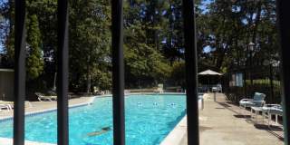 Winter Special-$500 Off-Spacious Three Bedroom, One & half Bathroom Townhouse Condo! Gallery 11