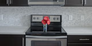 AMLI Buckhead Gallery 45