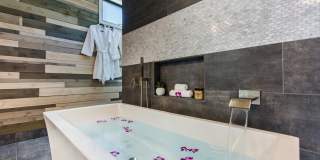 Luxurious & Private Modern Home w/Pool, AC & Diamond Head Views - Aloha Nalu Gallery 14