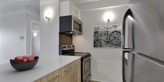 Liv on Steele Gallery 7